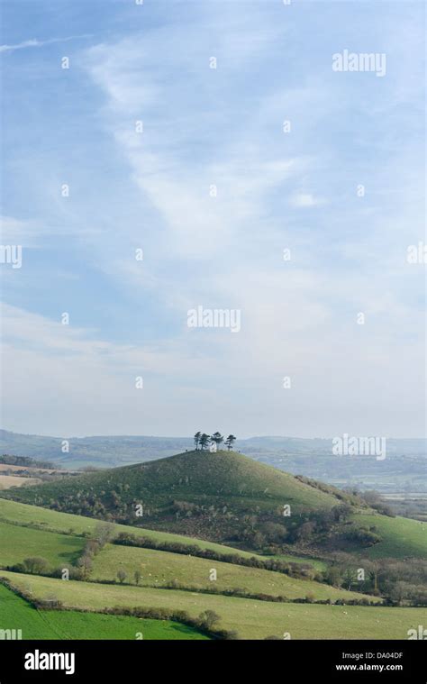 Colmers Hill Dorset Uk On A Spring Morning Stock Photo Alamy