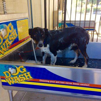 And you don't even need to set up shop if you're starting from scratch with zero capital. Tahoe Blue Car Wash and Dog Wash - 19 Photos & 13 Reviews - Pet Services - 6165 Stone Valley Dr ...