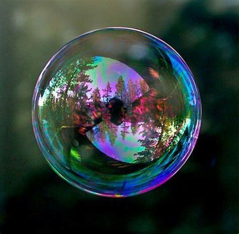 Pin By Mokhtafeghouli On Moktar Bubbles Photography Reflection