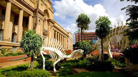 Ditsong National Museum Of Cultural History In Pretoria Expedia