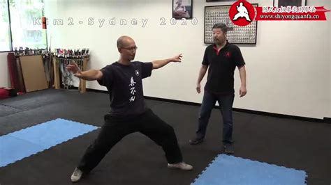 Mini Lesson Videos — Chen Zhonghua Taiji Academy Phone 780 413 0454