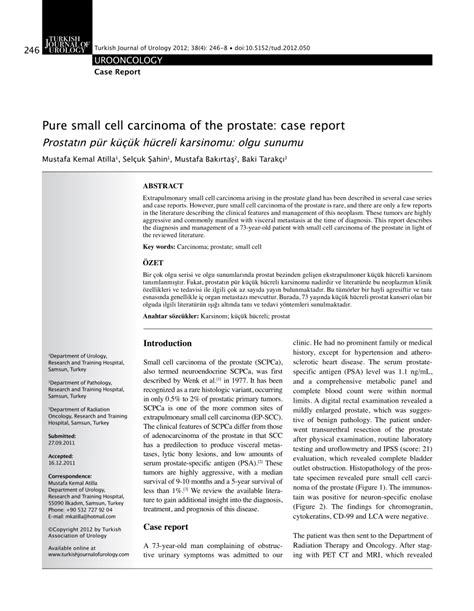Pdf Pure Small Cell Carcinoma Of The Prostate Case Report