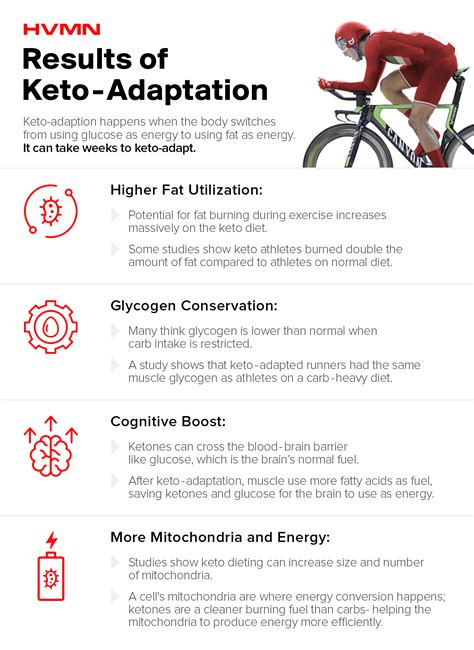 how long does it take to get into ketosis and keto adapt — warrior wellness