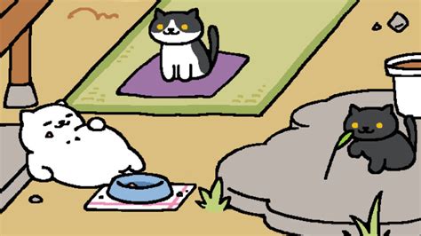Neko Atsume Cats A Guide To Collect All Neko Atsume Rare Cats
