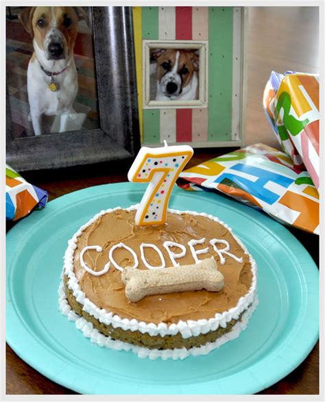 Make a cute birthday cake your dog will adore. Happy Birthday, Cooper Dog! - Vicky Barone