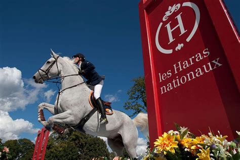 Data Projekt Projet Digital Pour Les Haras Nationaux