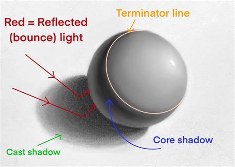 The Difference Between Core Shadows And Cast Shadows Explained