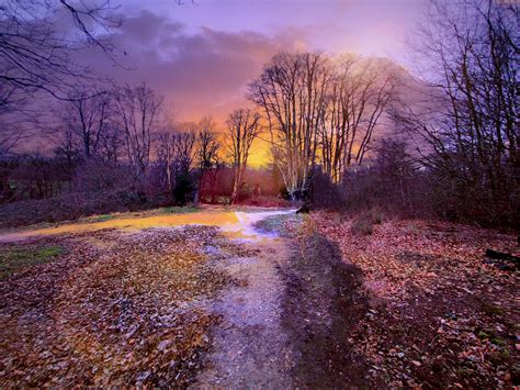 A Beautiful Forest Sunset Oc Essex United Kingdom 1524 X 1024