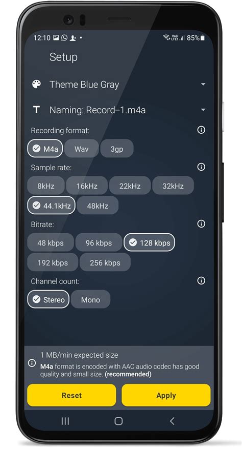 Audio Recorder and Player Free Fast Crystal clear