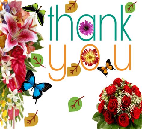 Thank You Ecard Free Thank You Ecards Greeting Cards 123 Greetings