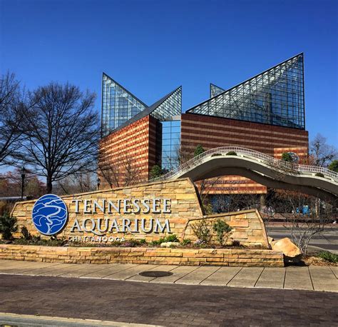 Chattanooga Hotels Close To Tennessee Aquarium Aquarium Views