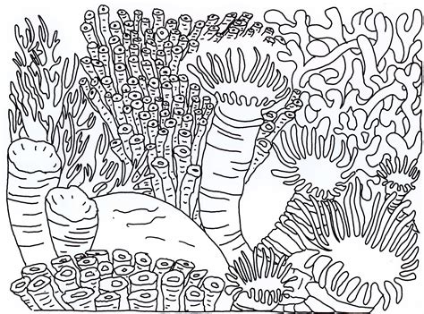 Underwater coloring pages creative coloring pages for children ausmalbilder. Coral reef coloring pages to download and print for free