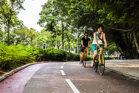 A world away from urban hong kong, the nam sang wai landscape is dominated by abandoned farms, fish ponds, and lush greenery. The best cycling routes in Hong Kong