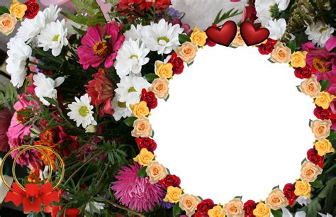 Download the free graphic resources in the form of png, eps, ai or psd. flowers for flower lovers.: Flowers photo frames designs.