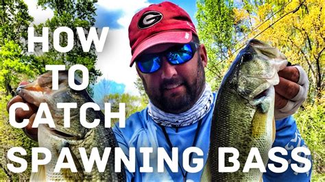 How To Fish The Bass Spawn Amazing Details About Bass Fishing Youtube