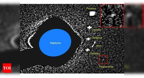 Tiny Neptune Moon May Be Result Of Cosmic Collision Times Of India