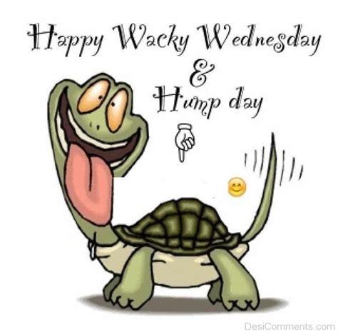 Happy Wacky Wednesday And Hump Day