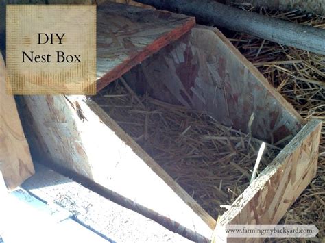 Diy Nest Box For Rabbits Or Chickens Farming My Backyard Nesting