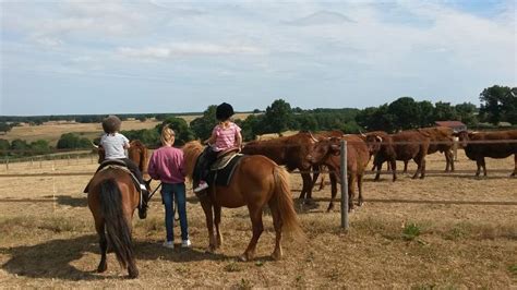 Country Pony Ranch Ygrande