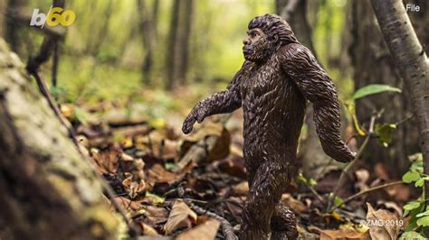 Bigfoot Sightings In North Carolina No It Was A Statue Not Sasquatch