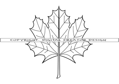 Maple Leaf Outline Svg Maple Leaf Svg Autumn Svg Maple Leaf Etsy