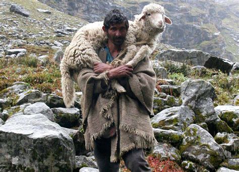 Shepherd Carrying His Sheep Presence Point