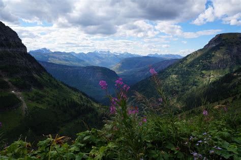 Going To The Sun Road Glacier National Park ~august 5456x3632 Oc