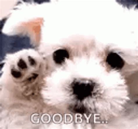 Sad Goodbye White Dog Waving Meme 