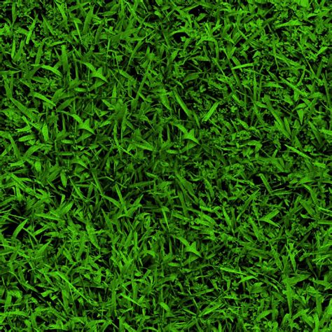 Grass Textures Grass Texture Seamless Grass