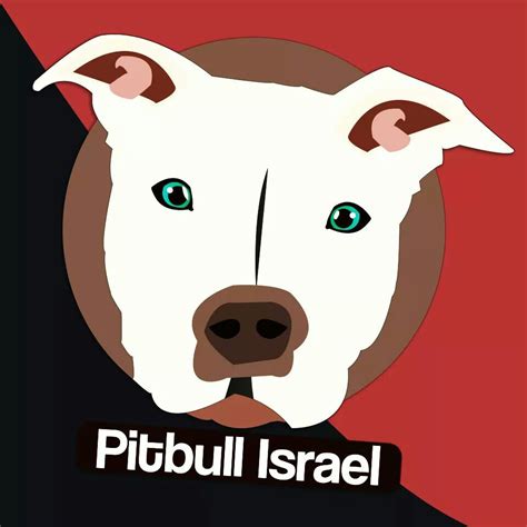 Pitbull Israel פיתבול ישראל