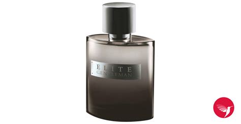 Elite Gentleman Avon Cologne A Fragrance For Men 2013