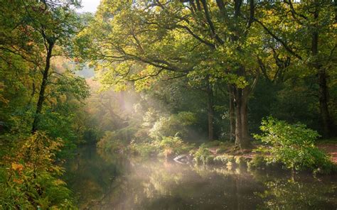 Britains Most Beautiful Forests And The Enchanting Histories Behind Them