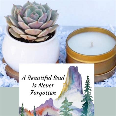 Succulent Gift Box A Beautiful Soul Is Never Sympathy Gift Etsy