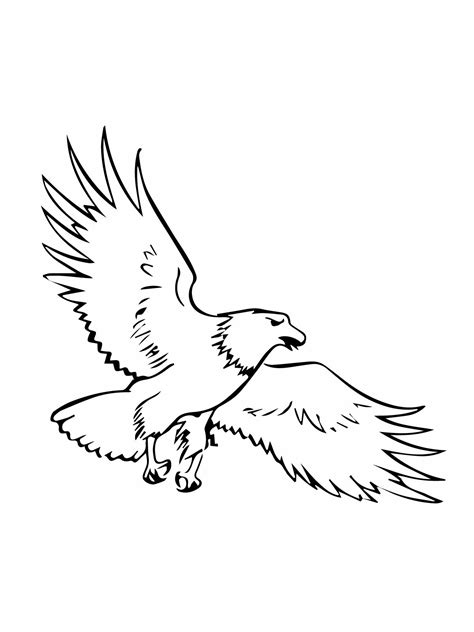 American Bald Eagle Coloring Page Free Printable Bald Eagle Coloring