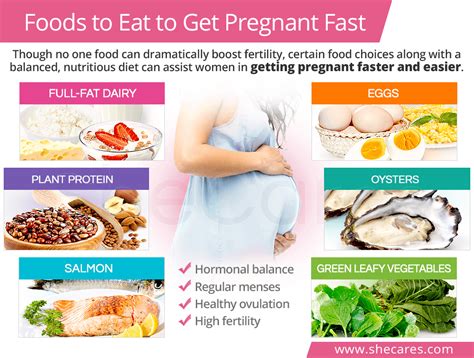 Discover The Best Foods To Eat When Trying To Get Pregnant Fast To