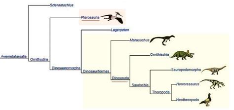 Flying Dinosaurs Names Pterodactyl Quetzalcoatlus And Dimorphodon