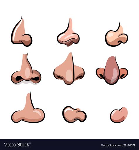 nose cartoon set for character animation vector image my xxx hot girl