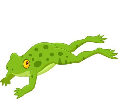 Download High Quality Frog Clipart Jumping Transparent Png Images Art