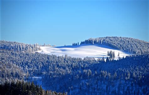 Winter Forest 4k Wallpaper Snow Trees Hill Sky View