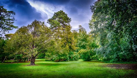 Park Scene With Trees And Green ~ Nature Photos On Creative Market