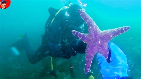 Found Camera Underwater Starfish And Crabs Scuba Diving For Lost