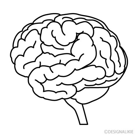 Black And White Brain Clipart Png