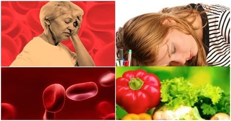 Anemia Hipocromica ¿que Es Causas Síntomas Y Tratamiento Arriba Salud