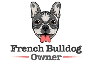 Welcome to british bulldog 2020!!! French Bulldog Health Issues: 31 Common Health Problems ...
