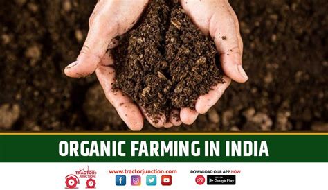 What Is Organic Farming In India Types Methods And Advantages