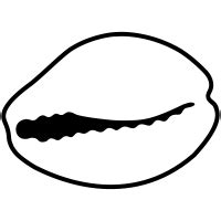 Cowry Icons - Download Free Vector Icons | Noun Project png image