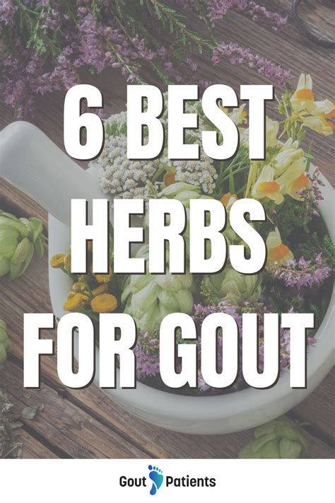 6 Best Herbs For Gout Gout Gout Remedies Gout Relief