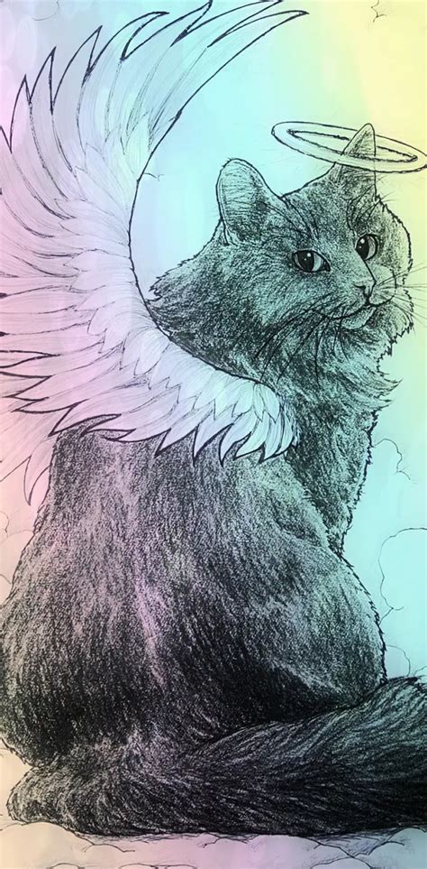 Furry Angel Cat Art Wallpaper By 1artfulangel Download On Zedge 2896