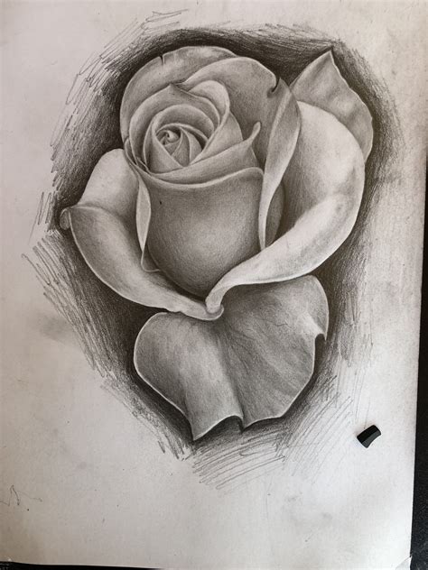 Rose Drawing With Pencil Roses Drawing Cool Rose Drawings Rose Tattoo Design