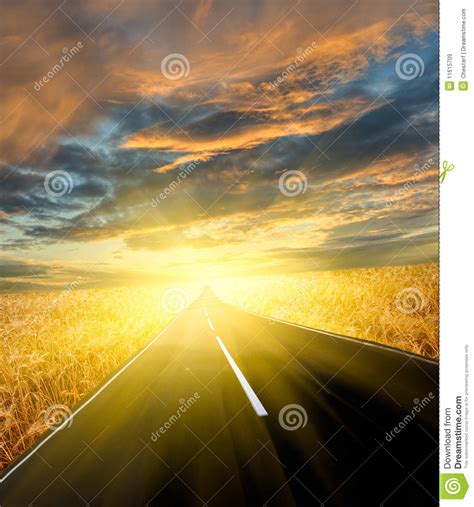 Road Through The Wheat Field Stock Image Image Of Natural Dusk 11615709